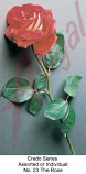 Credo Series - Card # 23 - Rose