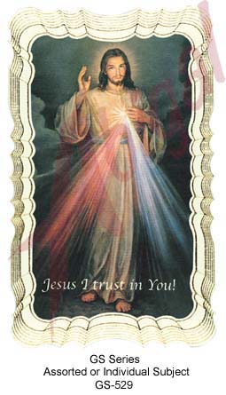GS Series - Card # 529