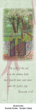 Grande Bookmarks - Assorted