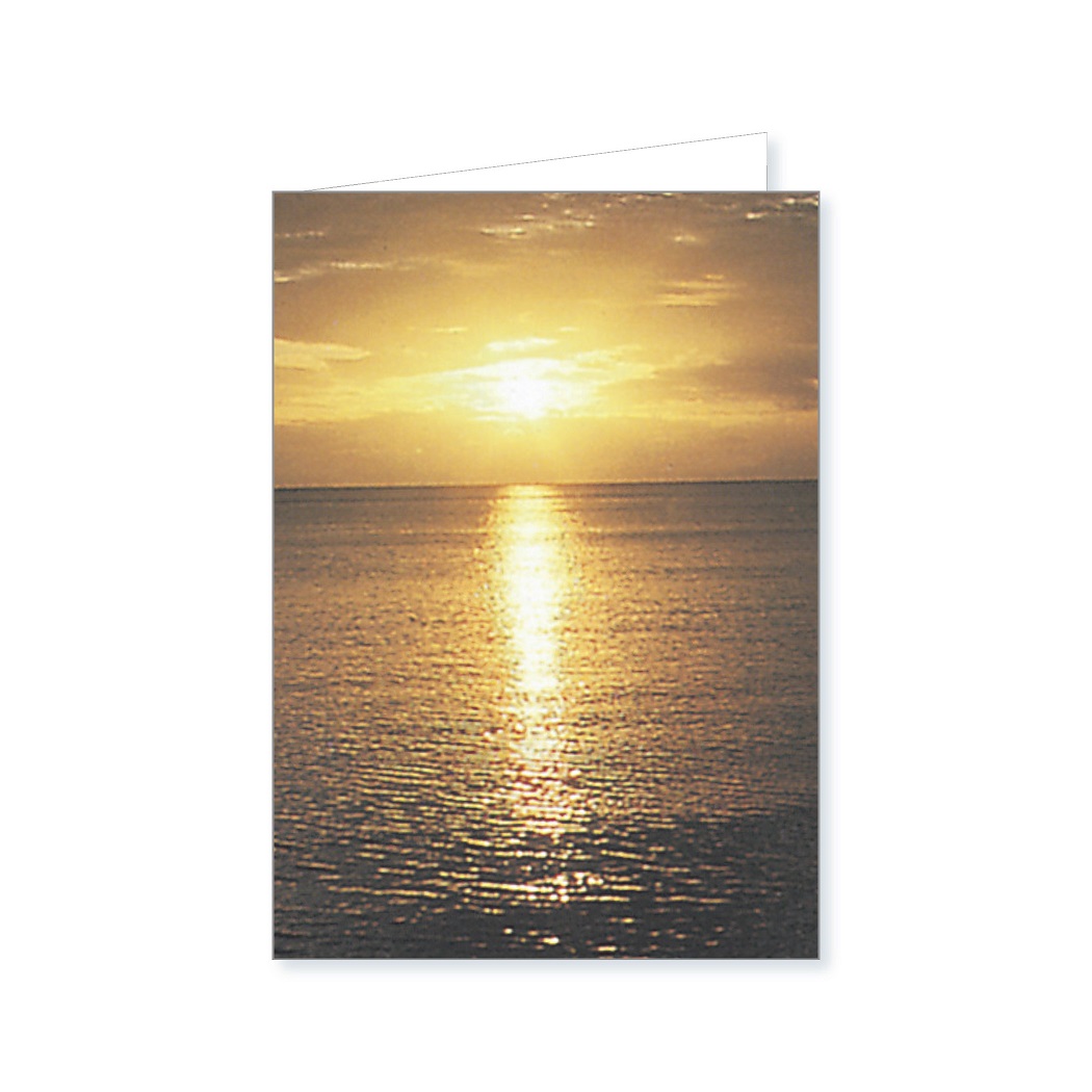 Stock Acks Credo # 24 Sunrise
