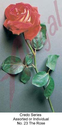 Credo Series - Card # 23 - Rose (Stock)
